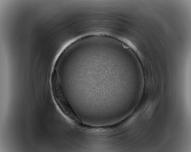 X0000086800943200704201900