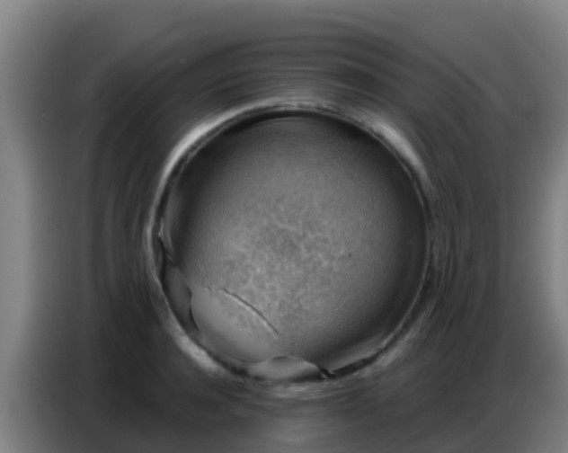 X0000086800944200704201900