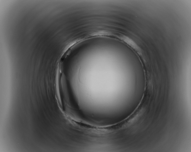 X0000086800945200704201900