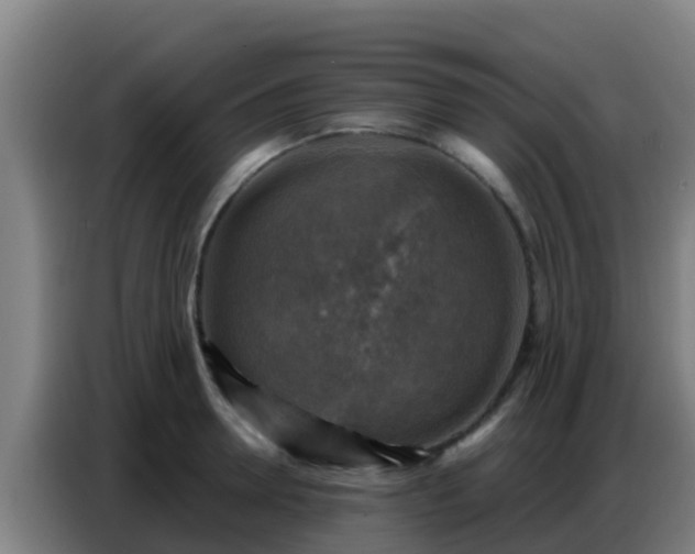 X0000086800946200704201900