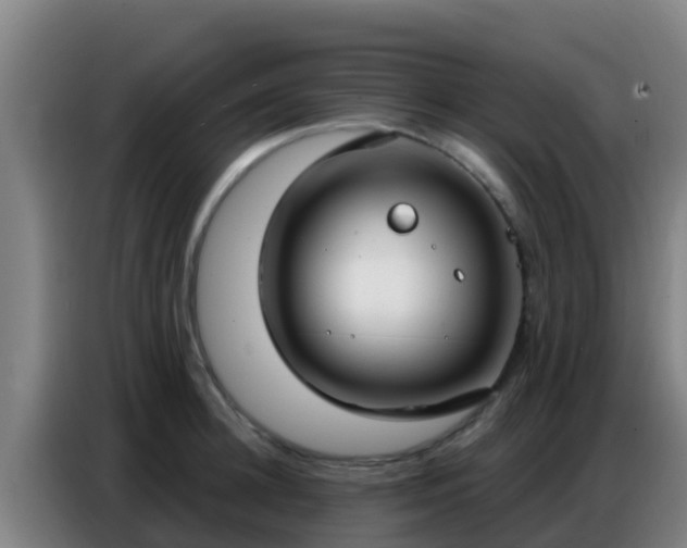 X0000086800948200704201900