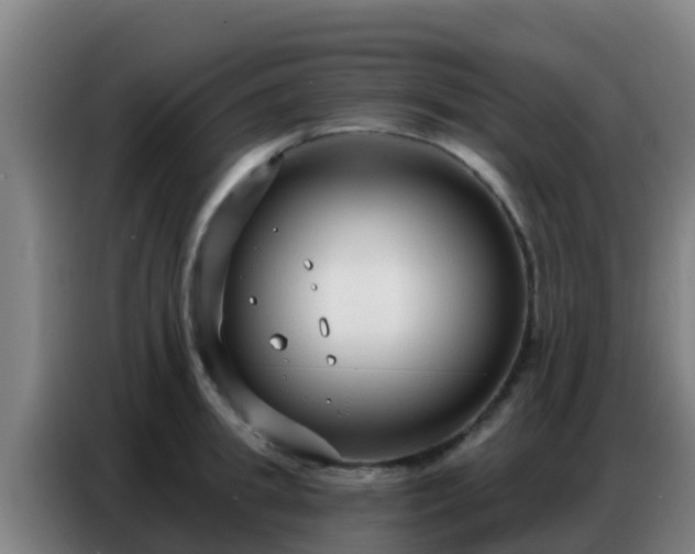 X0000086800949200704201900