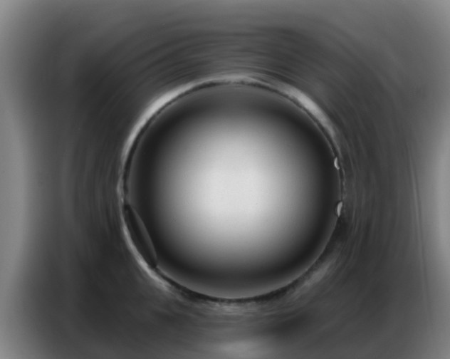 X0000086800951200704201901