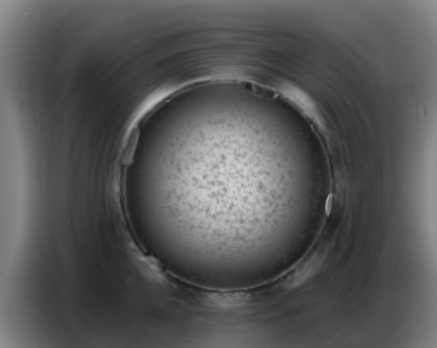 X0000086800952200704201901