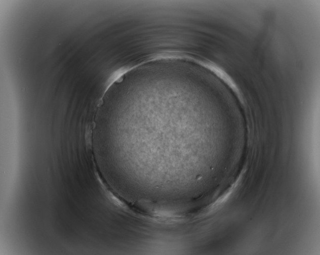 X0000086800953200704201901
