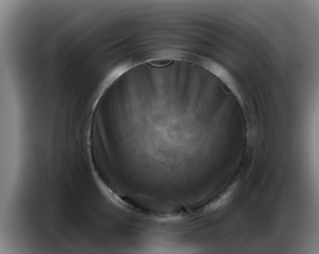 X0000086800954200704201901