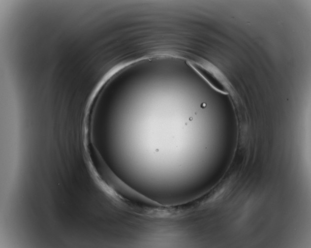 X0000086800955200704201901