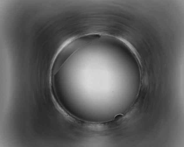 X0000086800957200704201901