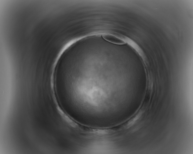 X0000086800958200704201901