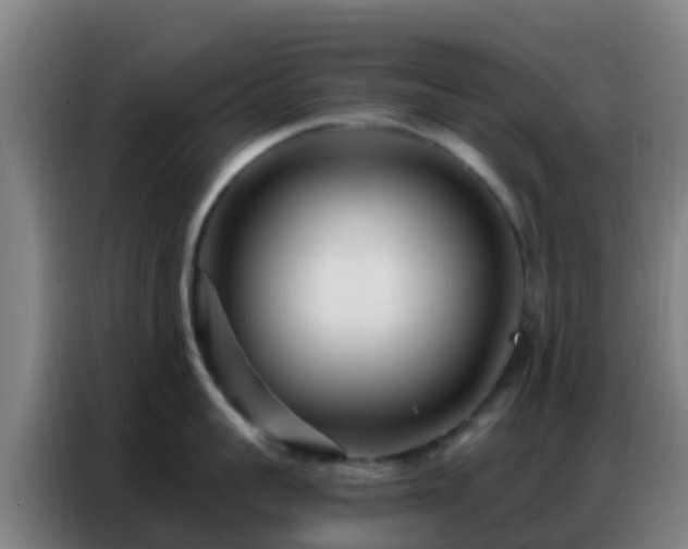 X0000086800959200704201901