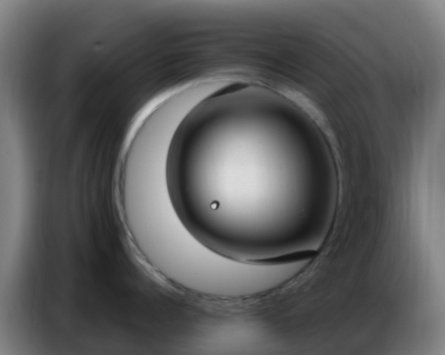 X0000086800960200704201901