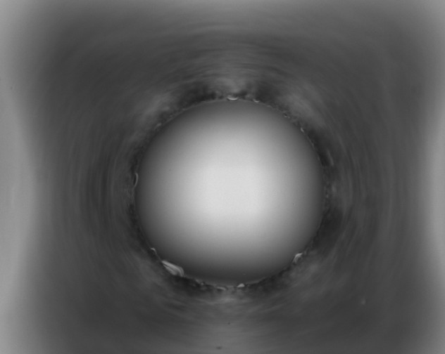 X0000086800961200704201900