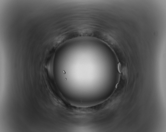 X0000086800963200704201900