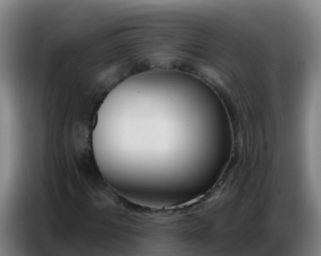 X0000086800964200704201900