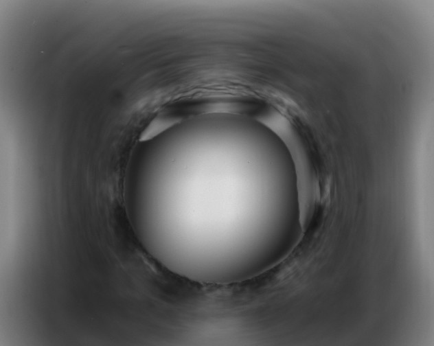 X0000086800965200704201900