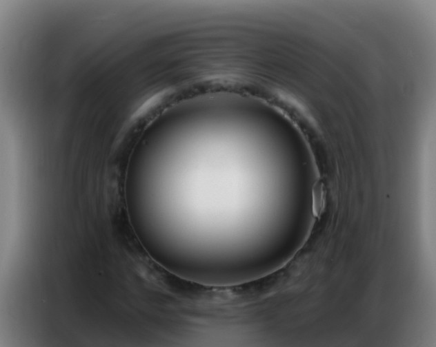 X0000086800968200704201900