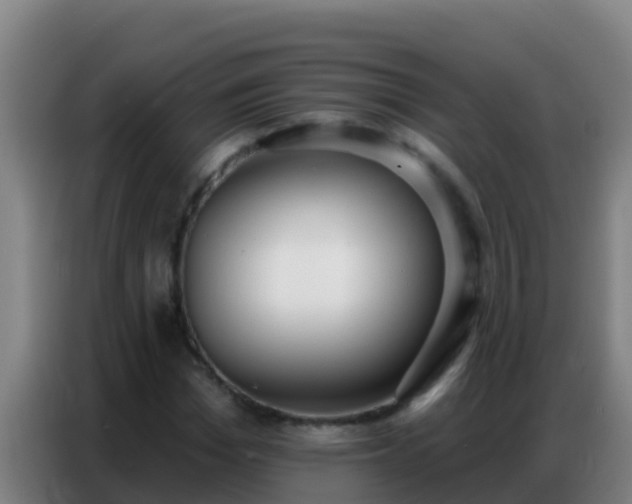 X0000086800969200704201900