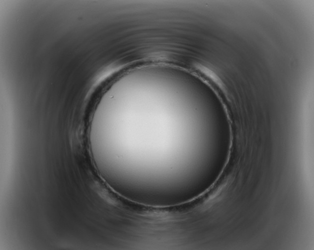 X0000086800971200704201900