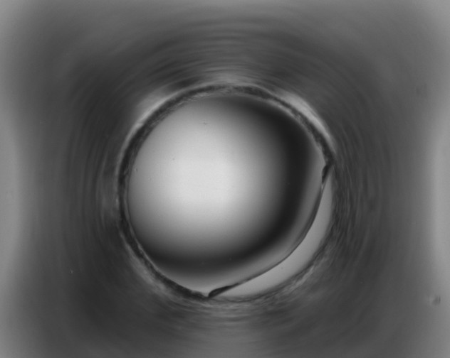 X0000086800972200704201900