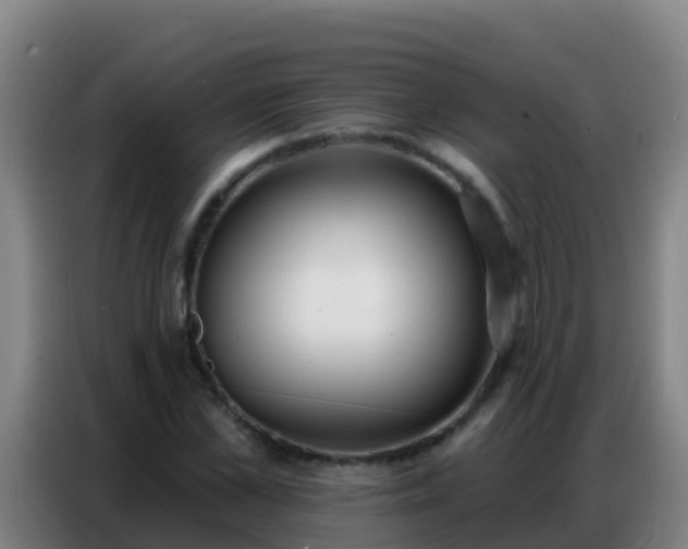 X0000086800973200704201900