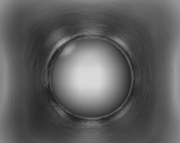 X0000086800974200704201900