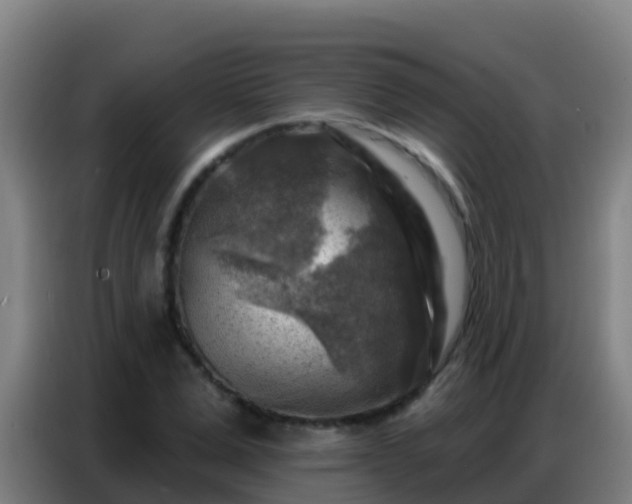 X0000086800975200704201900