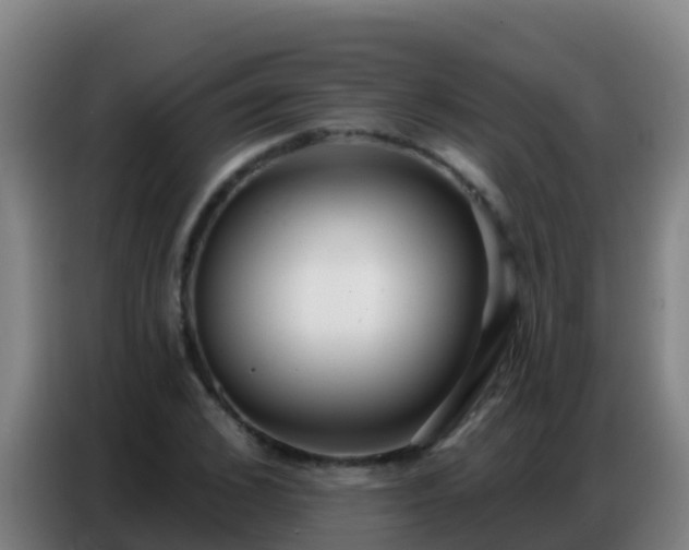 X0000086800976200704201900