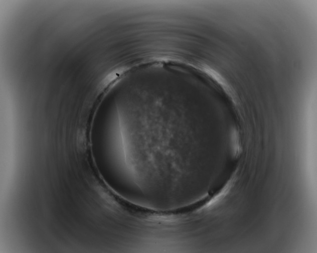 X0000086800977200704201900