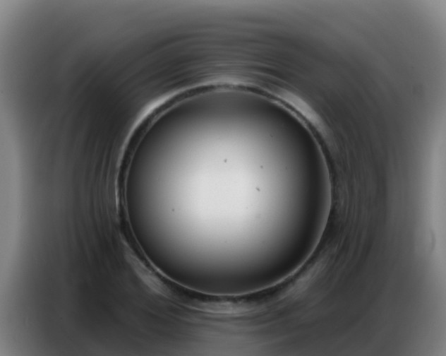 X0000086800980200704201900