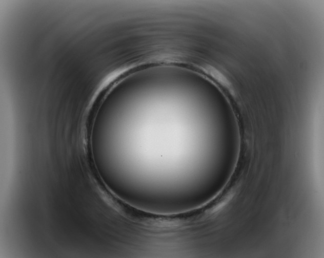 X0000086800981200704201900