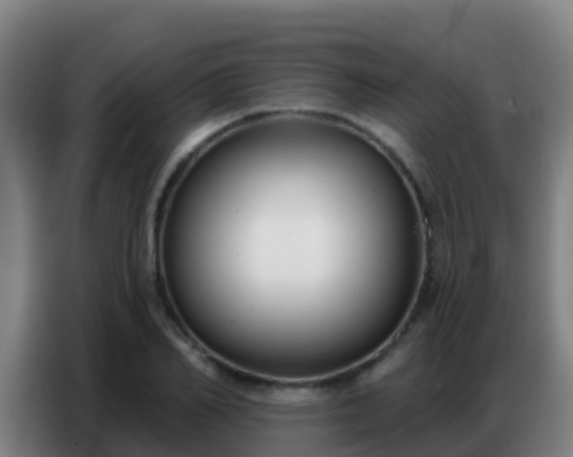 X0000086800982200704201900