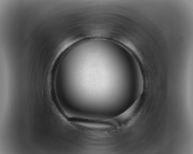 X0000086800983200704201900