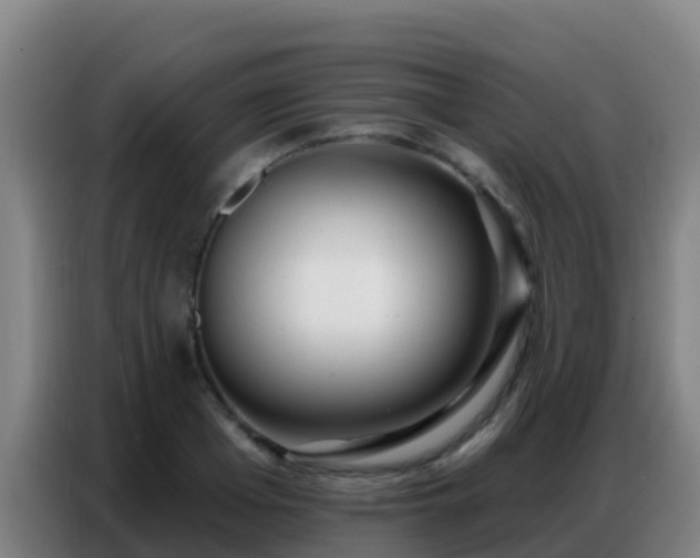X0000086800985200704201900