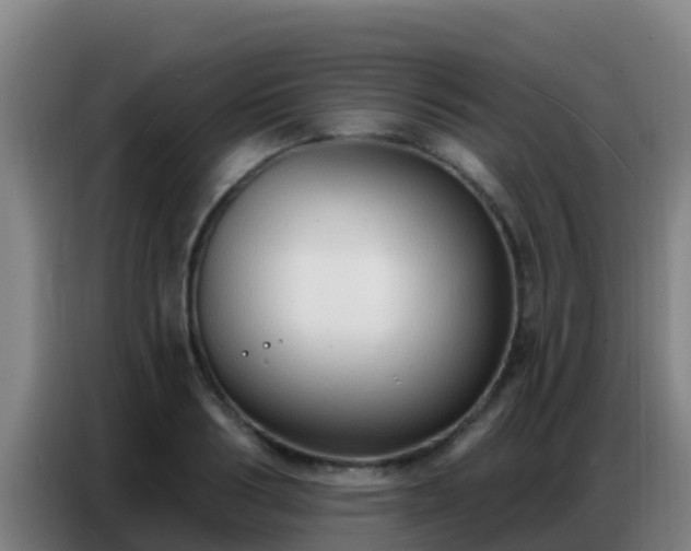 X0000086800986200704201900