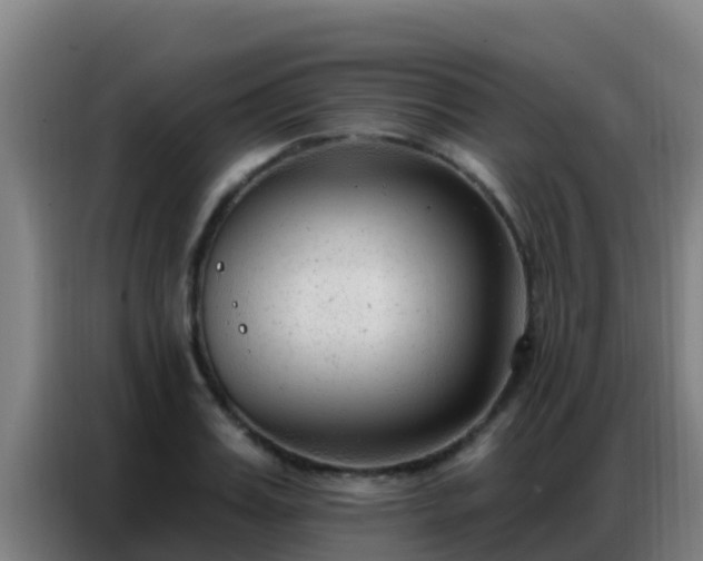 X0000086800987200704201900