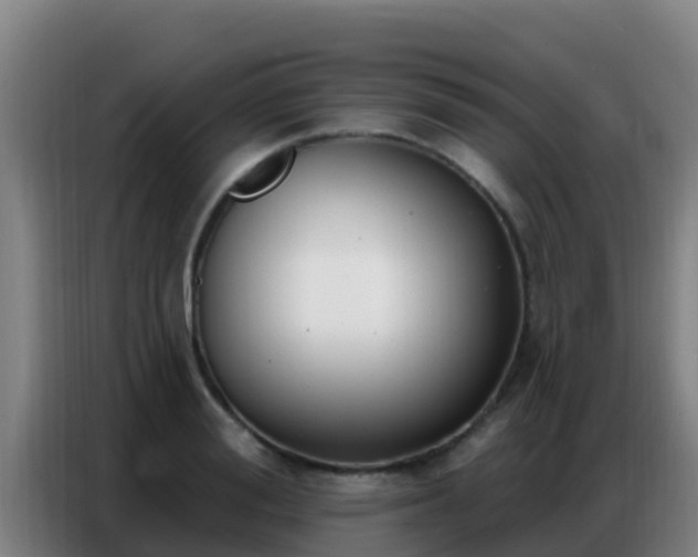 X0000086800988200704201900