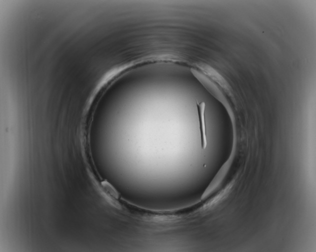 X0000086800989200704201900