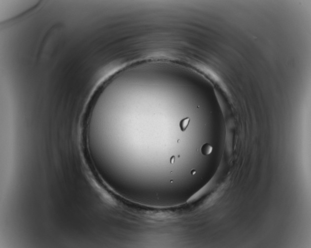X0000086800991200704201900