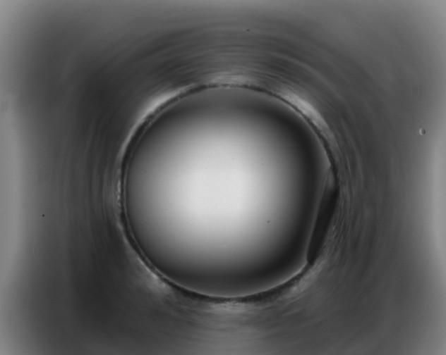 X0000086800992200704201900