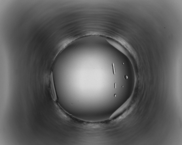 X0000086800993200704201900