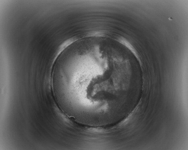 X0000086800994200704201900