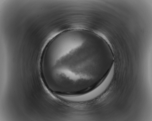 X0000086800995200704201900