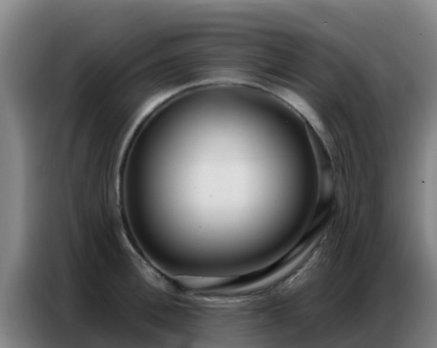 X0000086800996200704201900