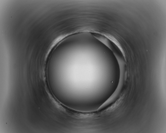 X0000086800997200704201900