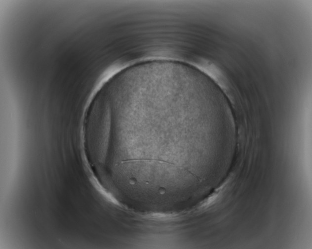X0000086800998200704201900