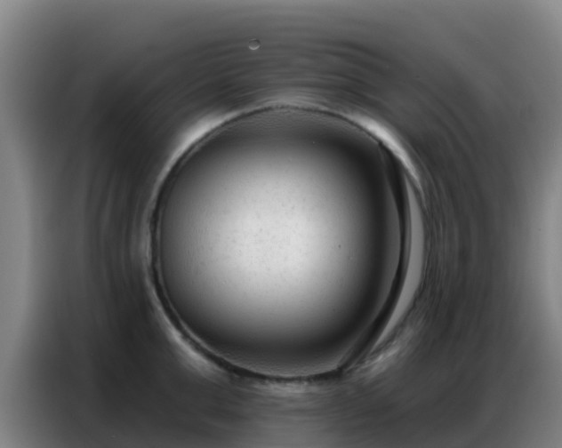 X0000086800999200704201900
