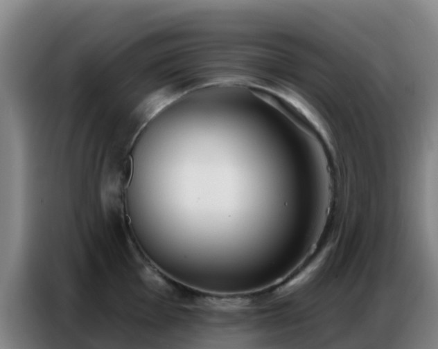 X0000086801001200704201900