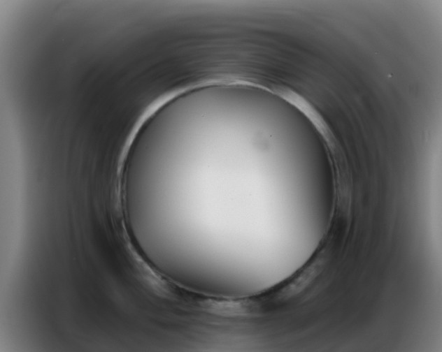 X0000086801004200704201859