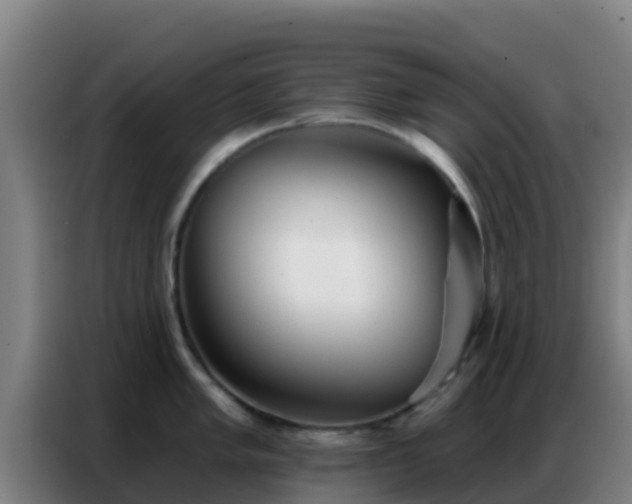 X0000086801005200704201859