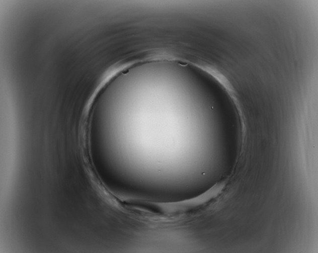 X0000086801008200704201859